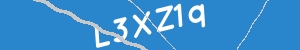 Introduzca el texto que aparece en la imagen